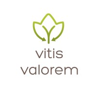 VITIS VALOREM logo - Similar company to Equus Project