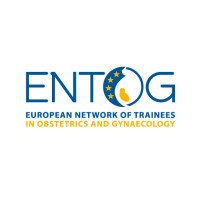 ENTOG - European Network of Trainees in Obstetrics and Gynaecology logo - Similar company to Gesea4Eu