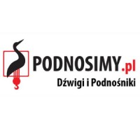 Dźwigi i Podnośniki Sp. z o.o. logo - Similar company to Fabryka Urządzeń Dźwigowych Sp. Z O.O.