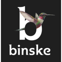 binske logo - Similar company to Nexus Business Development