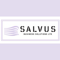 Salvus Business Solutions Ltd logo - Similar company to Nova Construction Products Limited
