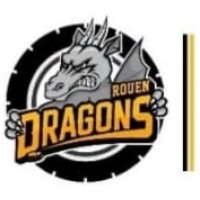Les DRAGONS VOUS RAMENENT logo - Similar company to Feder - Fédération Des Etudiants Rouennais