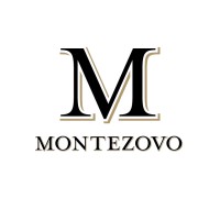 Monte Zovo logo - Similar company to Gwine