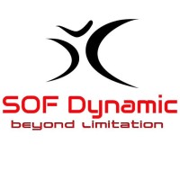 SOF Dynamic LLC logo - Similar company to Keel - Strategic Problem Solving