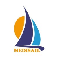 MediSail logo - Similar company to Devwise