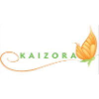 Kaizora Institute logo - Similar company to Sani Star Solutions