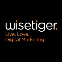 Wisetiger logo - Similar company to Cloudhive.Pl