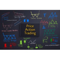 Price Action Trading logo - Similar company to Learn Price Action