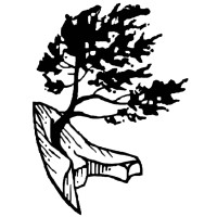 Perea Forest Engineering logo - Similar company to Land Studios Consulting