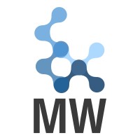 AI-Vision // MW Solutions logo - Similar company to Kml Vision
