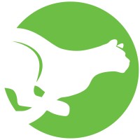 Mountain Line (Missoula, MT) logo - Similar company to Tsi Video