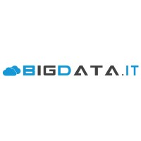 BigData.it logo - Similar company to Balloon Tech Co.