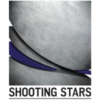 Shooting Stars logo - Similar company to Comout Global