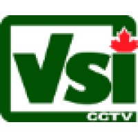 Vsi