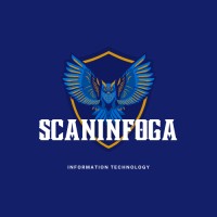 Scaninfoga Solutions Private Limited logo - Similar company to Pentora