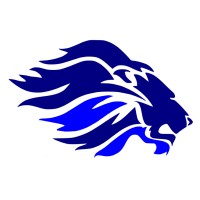 Blue Lion Technology logo - Similar company to Csi Networks