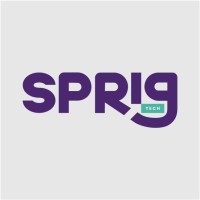 SprigTech logo - Similar company to Securitysync
