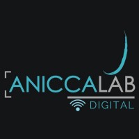 Aniccalab digital logo - Similar company to Aniccalab