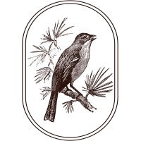 Silk & Spero, LLC logo - Similar company to Emma Saliba Interiors + Design