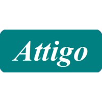 Attigo Edutech Private Limited logo - Similar company to Tutorhow Scientific Edutech