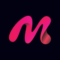 Meticulous Media, LLC logo - Similar company to We Dig Games