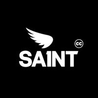 SA1NT Group logo - Similar company to Tech Labs Capital