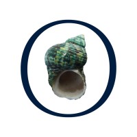 Moncada Yachts logo - Similar company to Durrant Yachts