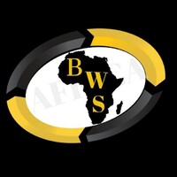 Black Wall Street Africa logo - Similar company to Deepdive World