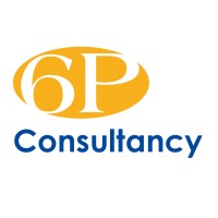 6P Consultancy logo - Similar company to 6P Partners Bv