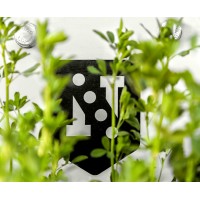 Novag logo - Similar company to Novag Infancia Sa De Cv