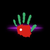 Hand Surgery Poznan logo - Similar company to Journal Of Hand Surgery (European Volume)