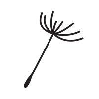 Zaailingen Cosmetics