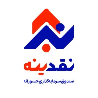 Naghdine.CVC logo - Similar company to Aryogen Cvc