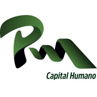 PM Capital Humano logo - Similar company to Rockets Traffic | Bilingual Ads Agency