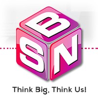 SNB Web Services Pvt. Ltd. logo - Similar company to Nexfinity Llc