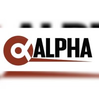 Alpha Pundits logo - Similar company to 35 Beautician