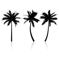 Three Palms logo - Similar company to Palm Tree Realty Llc
