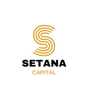 Setana Capital logo - Similar company to Allan Gray Makers