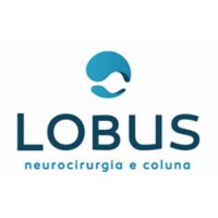 Lobus Medical logo - Similar company to Dafa Surgical