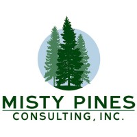 Misty Pines Consulting, Inc.