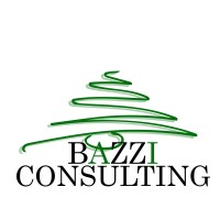 Bazzi Consulting logo - Similar company to Raqmea
