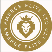 Emerge Elite LTD logo - Similar company to Emerge Elite Ltd