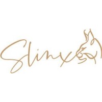 Slinx Interiors logo - Similar company to Aity Gallery