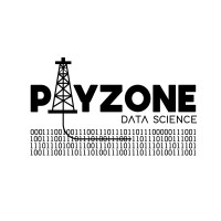 Payzone Data Science logo - Similar company to Petroiq