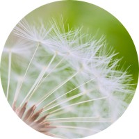 Regenerative Economics for Secondary Schools logo - Similar company to Regenb