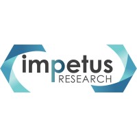 Impetus Research Kft. logo - Similar company to Eklavya Analytics & Consulting Private Limited