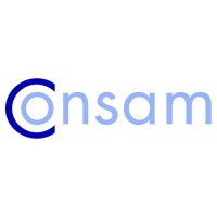 Consam 2 Way Radios