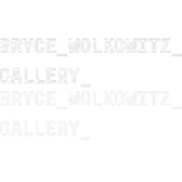 Bryce Wolkowitz Gallery logo - Similar company to Sce Art Advisory