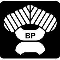 BP Srl logo - Similar company to Gruppo Capital S.R.L.