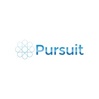 Pursuit Search Group Inc. logo - Similar company to Qubic Corp